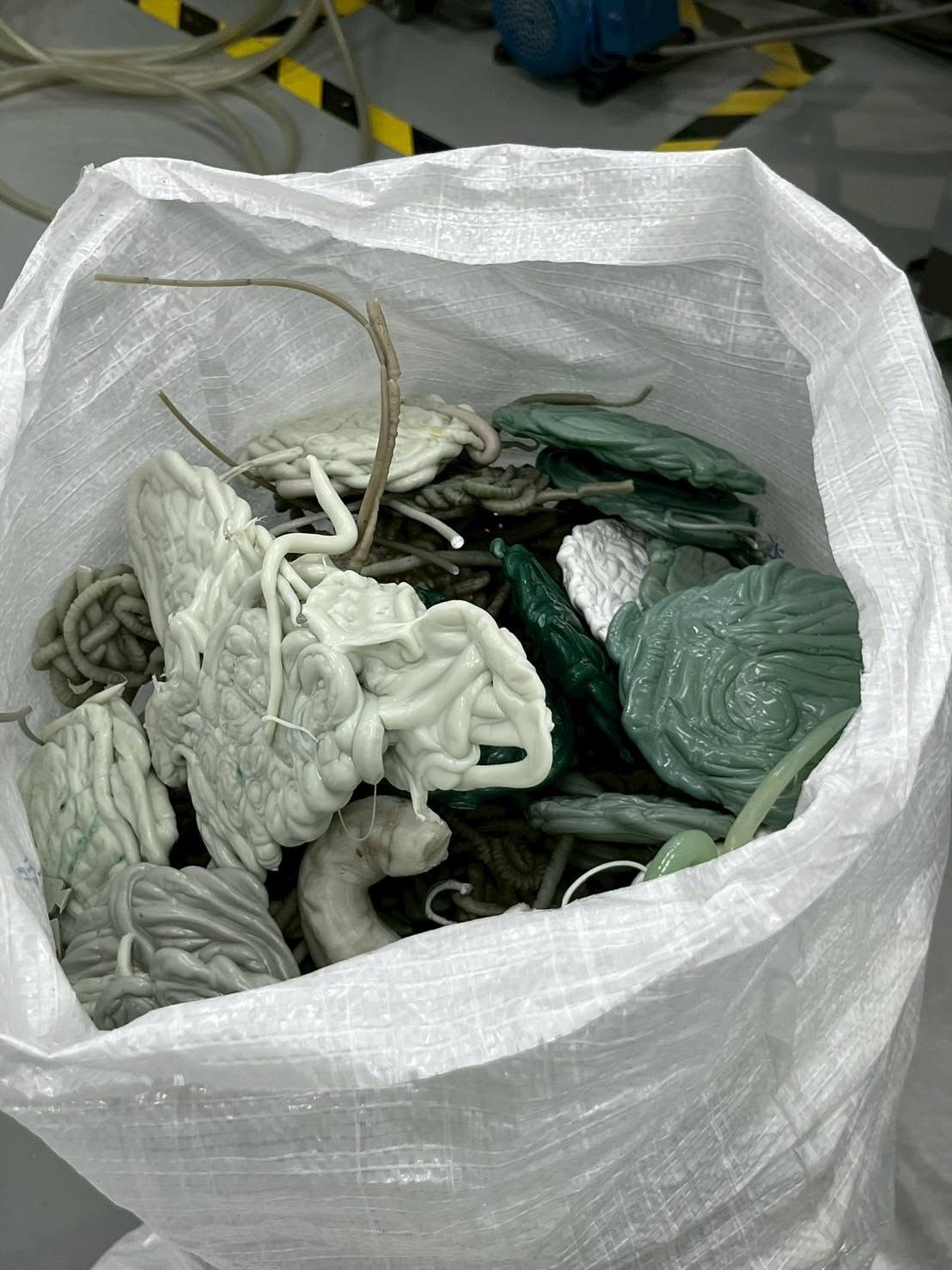 Plastic waste recovered from the coast and ocean